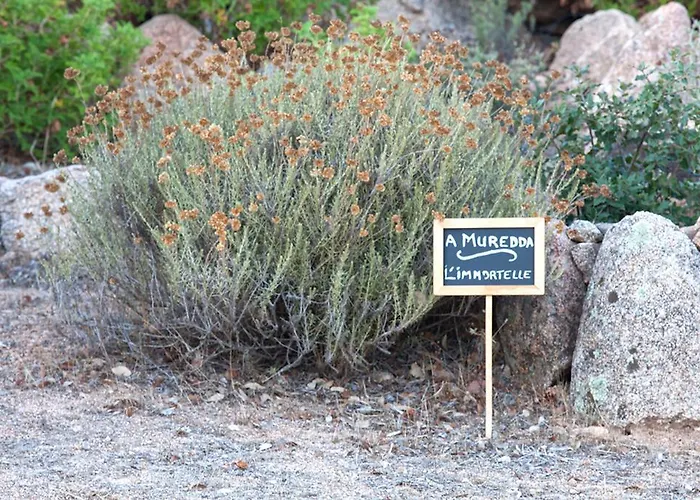 Chambre D'hotes Casa Di L'oru Oda ve Kahvaltı